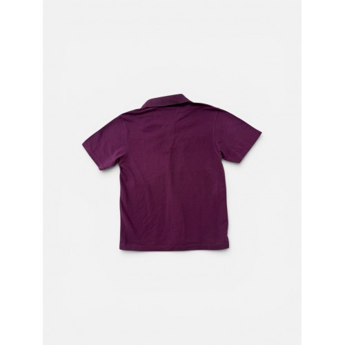 Lacoste Καφέ Ανδρική Μπλούζα Polo με Κεντημένο Κροκόδειλο