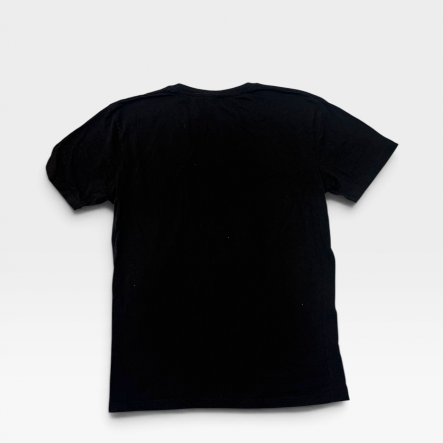 Napapijri Geographic Logo T-Shirt