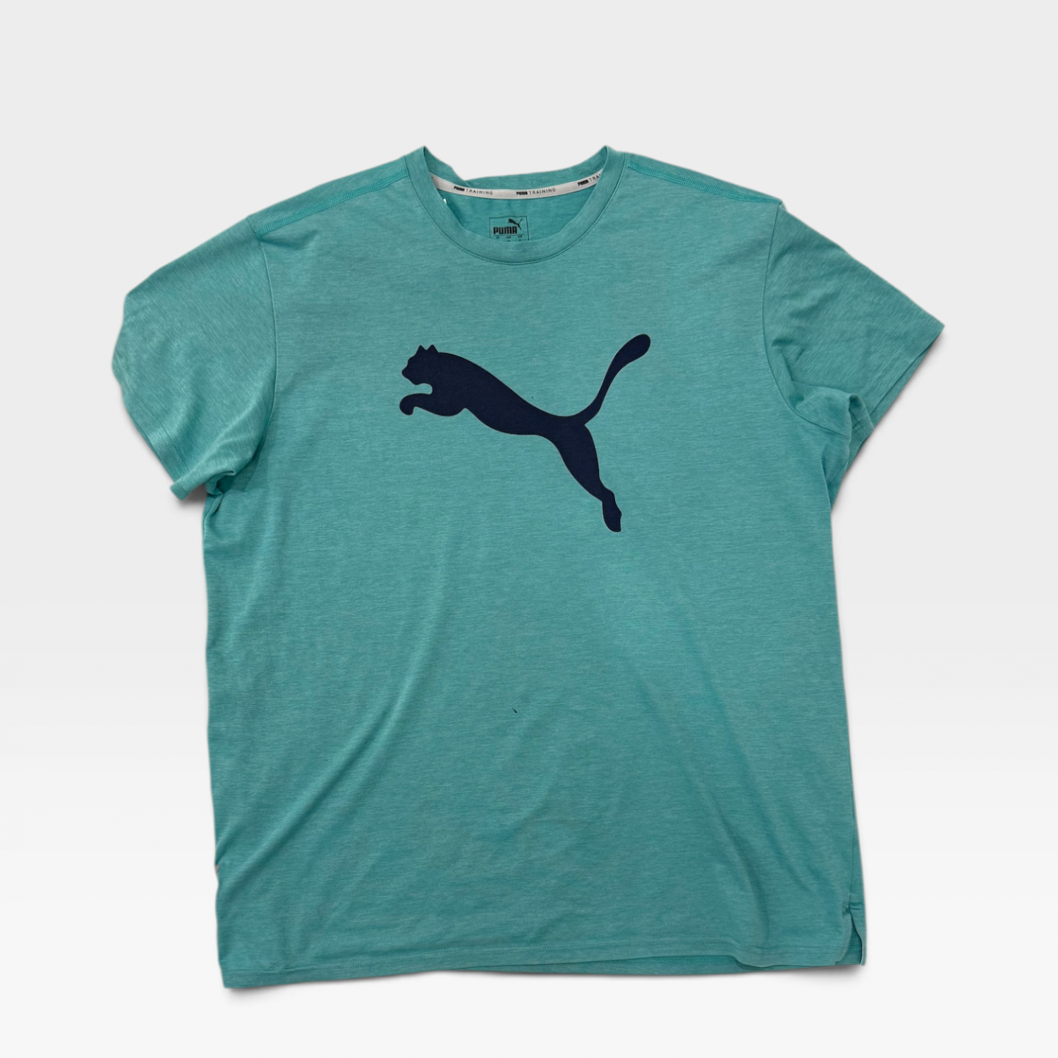 Puma Training Logo T-Shirt