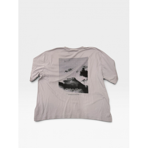 Calvin Klein Minimal Logo T-Shirt