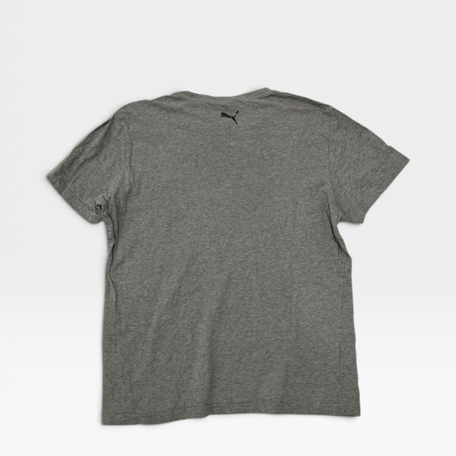Puma Sportwear Graphic T-Shirt