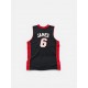 Miami Heat #6 Jersey