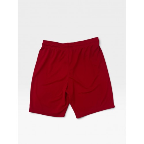 Nike Dri-FIT Training Shorts Red