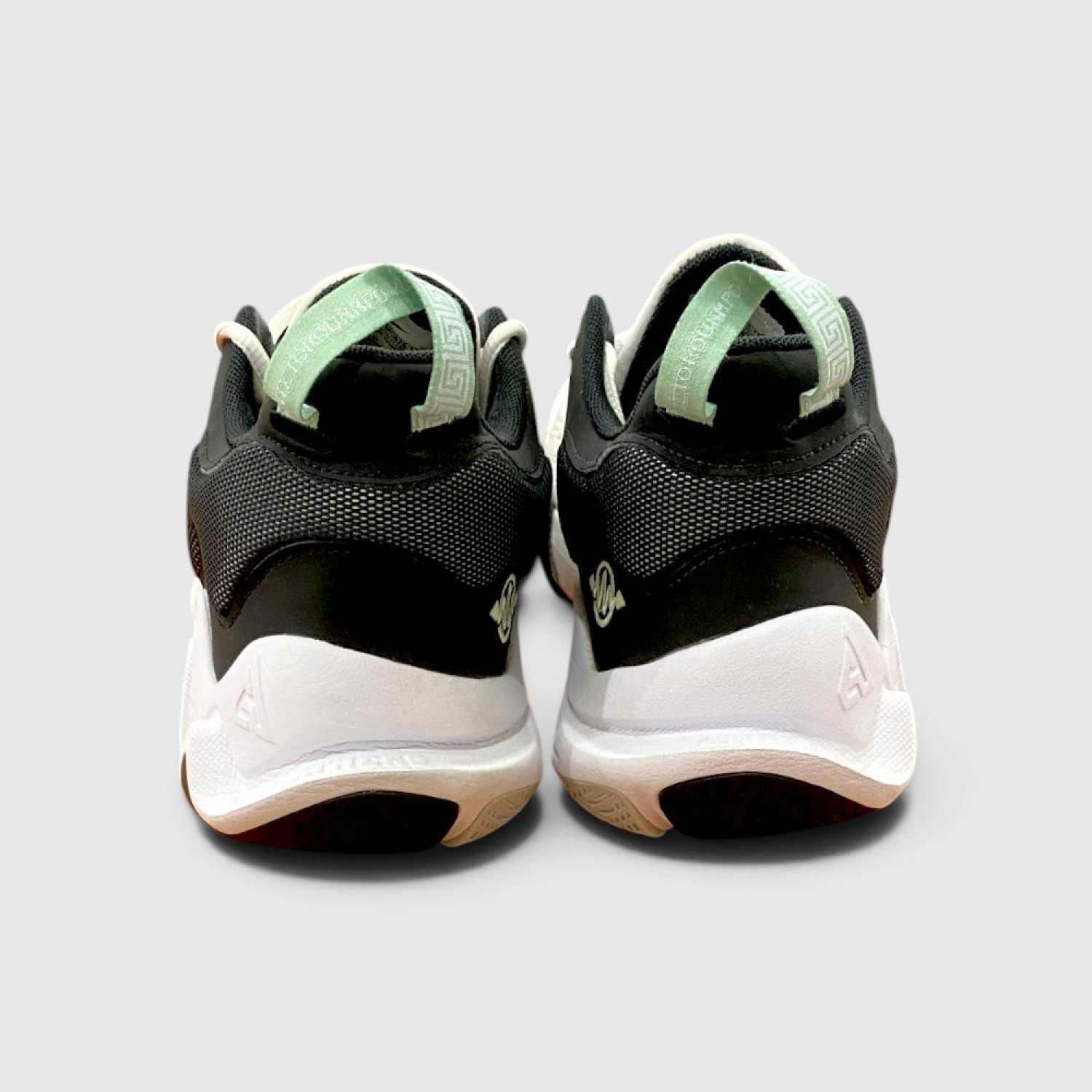 Nike Giannis Immortality 2 / Pre-Owned